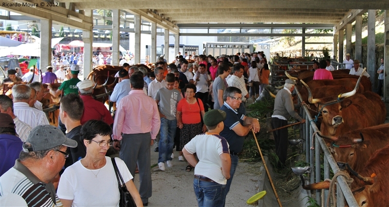 Montalegre - Feira do Prémio 2012
