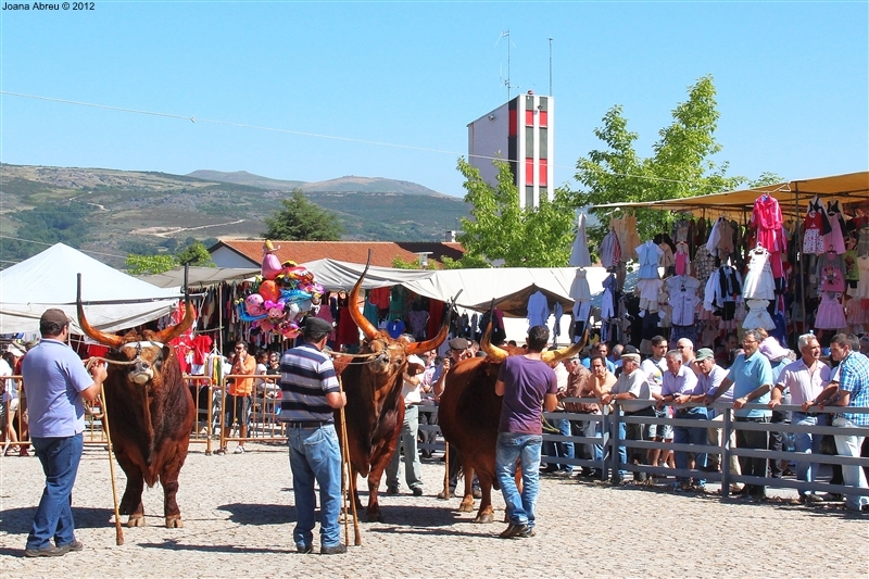 Montalegre - Feira do Prémio 2012