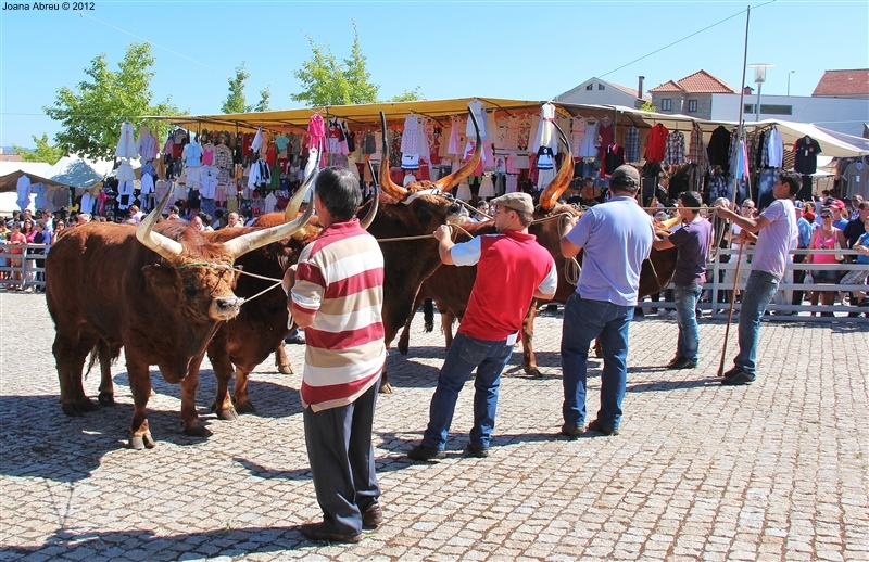 Montalegre - Feira do Prémio 2012