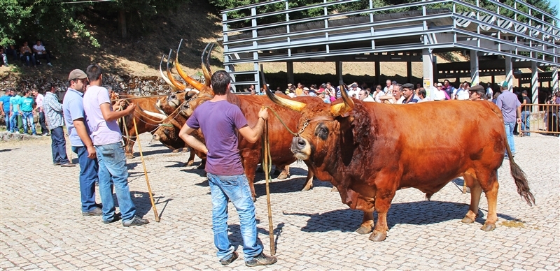 Montalegre - Feira do Prémio 2012