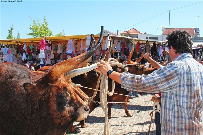 Montalegre - Feira do Prémio 2012