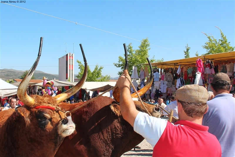 Montalegre - Feira do Prémio 2012