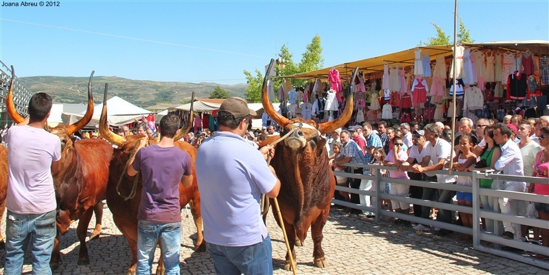 Montalegre - Feira do Prémio 2012