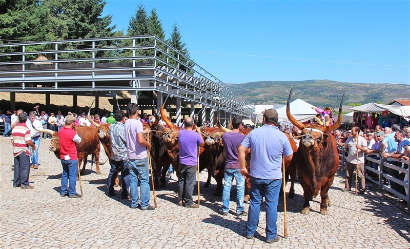 Montalegre - Feira do Prémio 2012