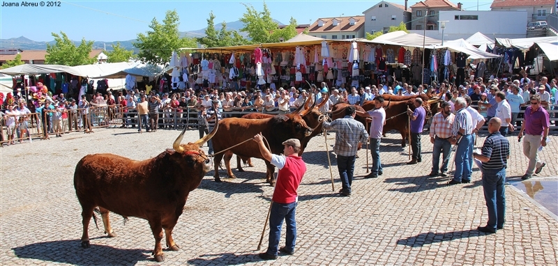 Montalegre - Feira do Prémio 2012