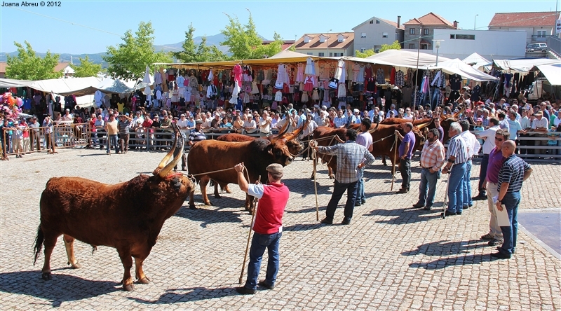 Montalegre - Feira do Prémio 2012