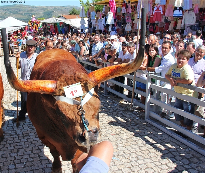 Montalegre - Feira do Prémio 2012