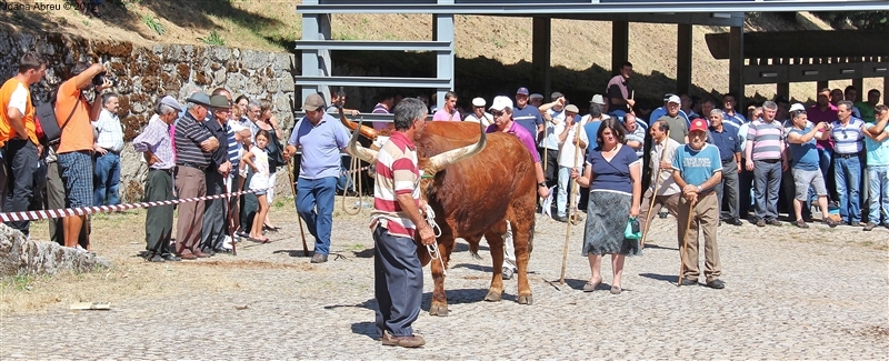 Montalegre - Feira do Prémio 2012