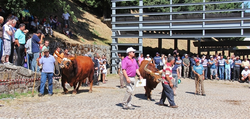 Montalegre - Feira do Prémio 2012