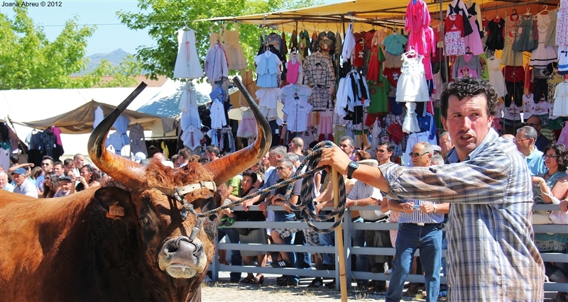 Montalegre - Feira do Prémio 2012