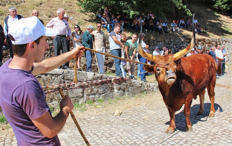 Montalegre - Feira do Prémio 2012