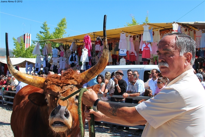 Montalegre - Feira do Prémio 2012