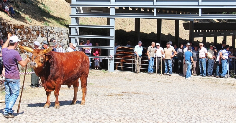 Montalegre - Feira do Prémio 2012