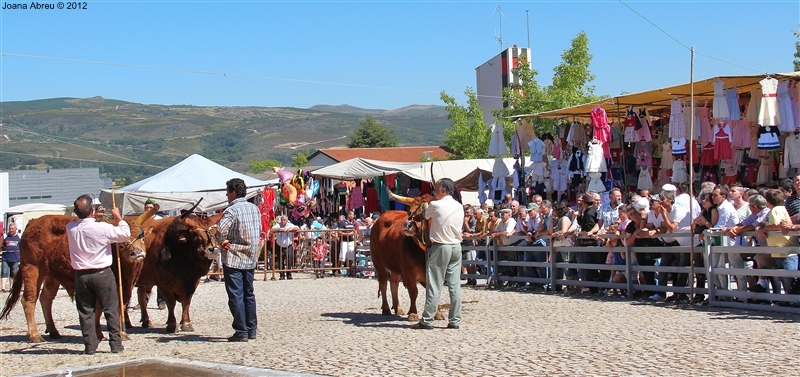 Montalegre - Feira do Prémio 2012