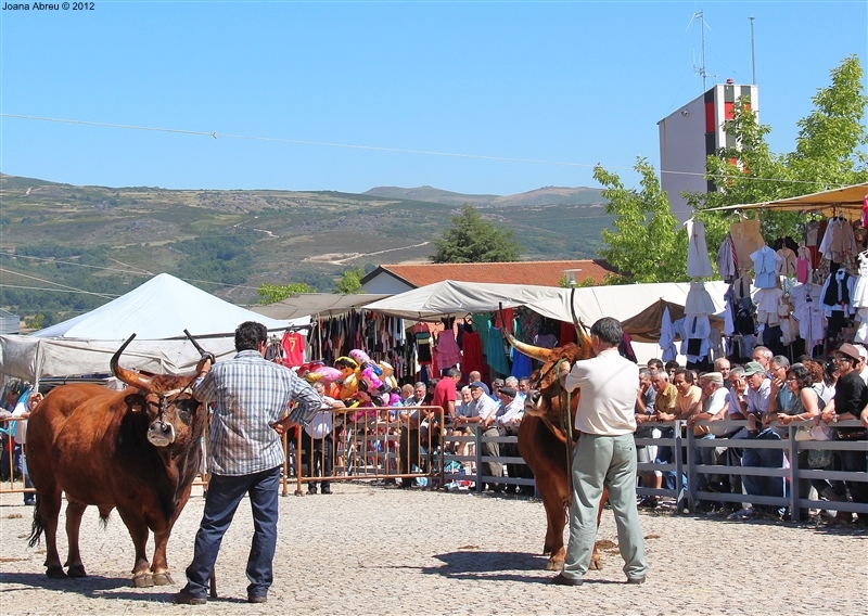 Montalegre - Feira do Prémio 2012