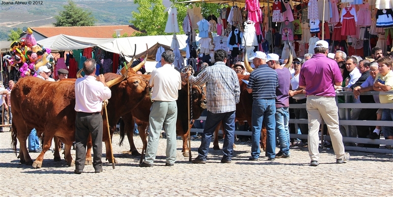 Montalegre - Feira do Prémio 2012