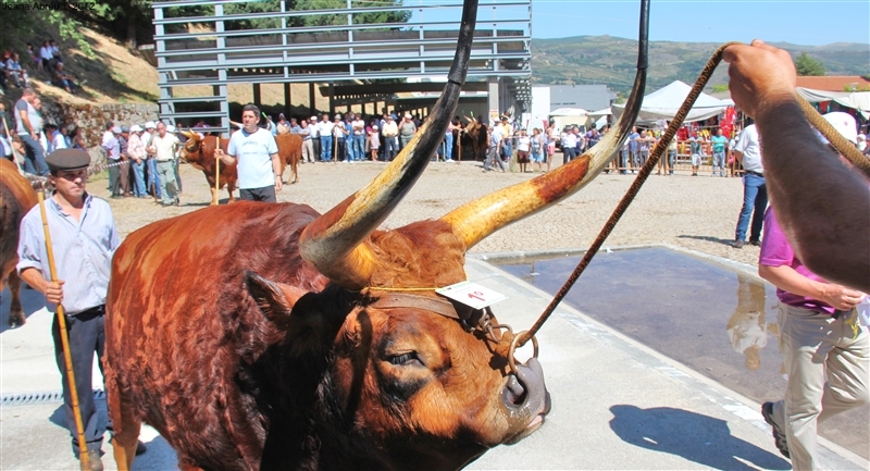 Montalegre - Feira do Prémio 2012