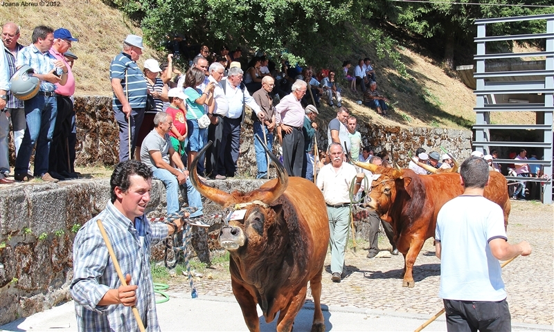 Montalegre - Feira do Prémio 2012