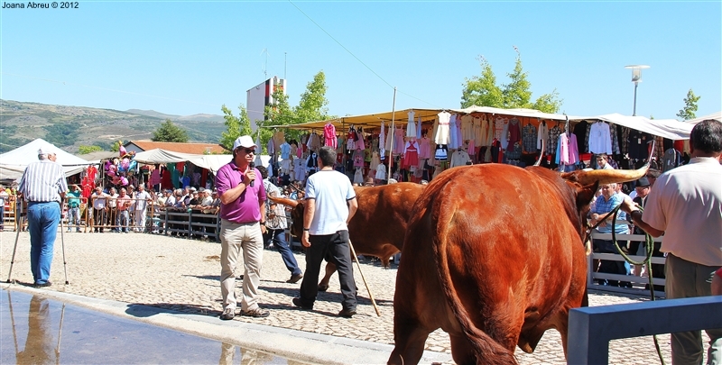 Montalegre - Feira do Prémio 2012