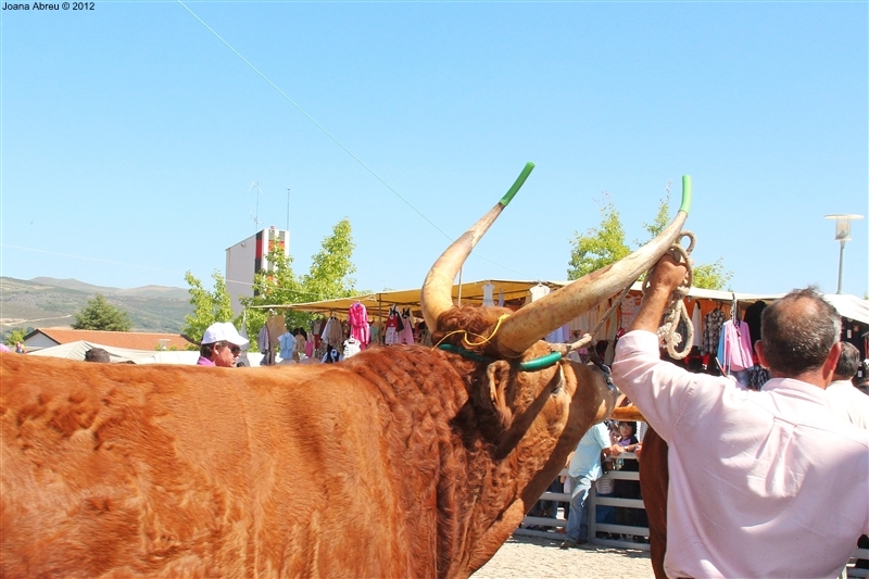 Montalegre - Feira do Prémio 2012