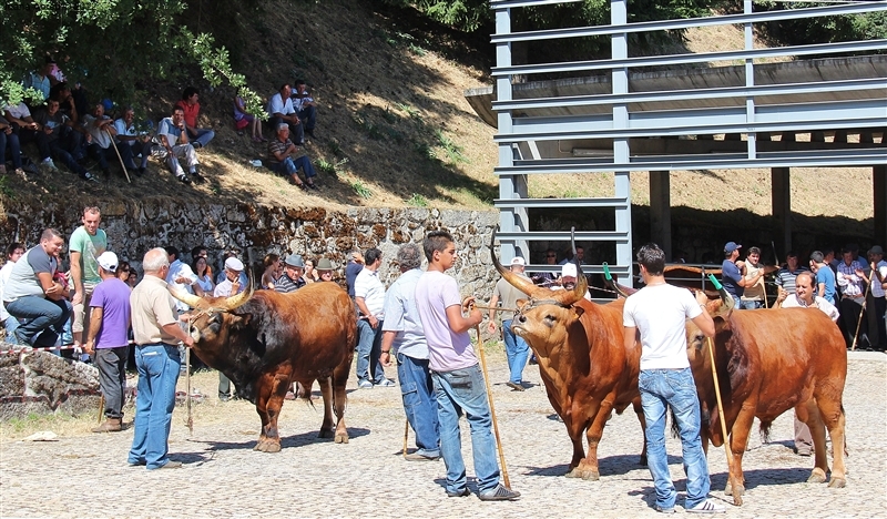 Montalegre - Feira do Prémio 2012