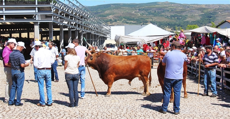 Montalegre - Feira do Prémio 2012