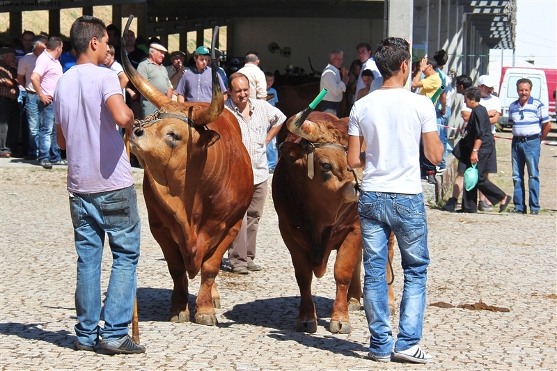 Montalegre - Feira do Prémio 2012