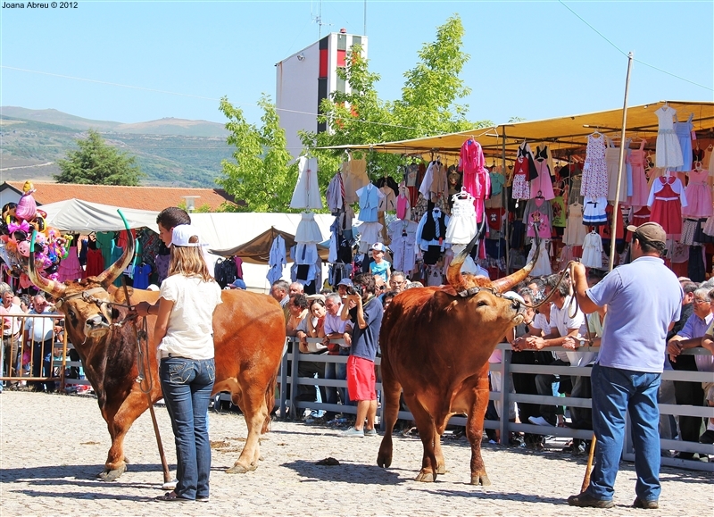 Montalegre - Feira do Prémio 2012