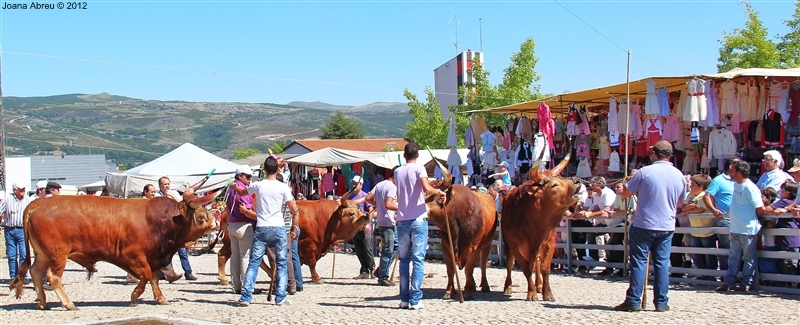 Montalegre - Feira do Prémio 2012