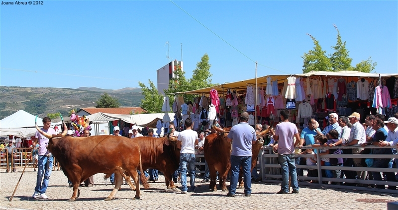 Montalegre - Feira do Prémio 2012