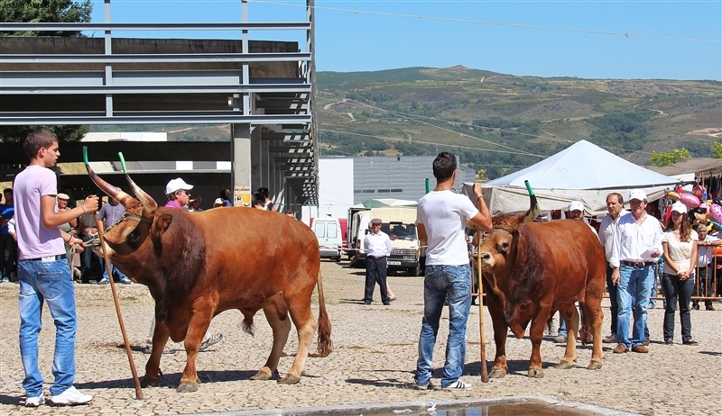 Montalegre - Feira do Prémio 2012