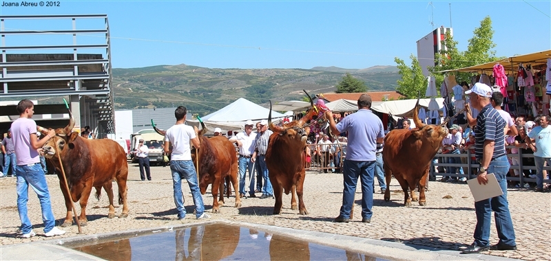 Montalegre - Feira do Prémio 2012