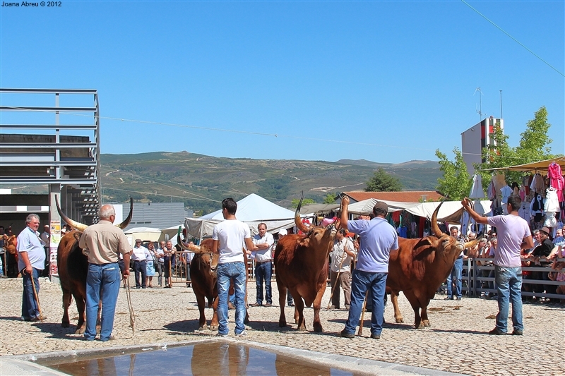 Montalegre - Feira do Prémio 2012