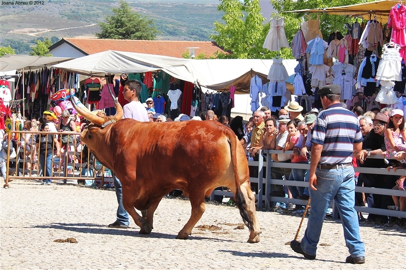 Montalegre - Feira do Prémio 2012