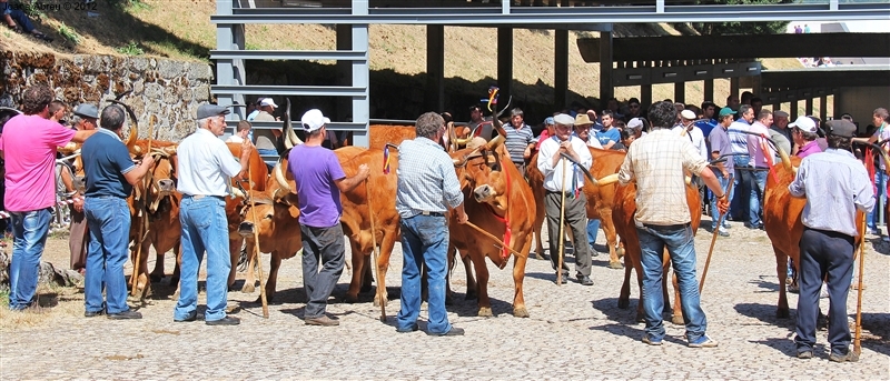 Montalegre - Feira do Prémio 2012