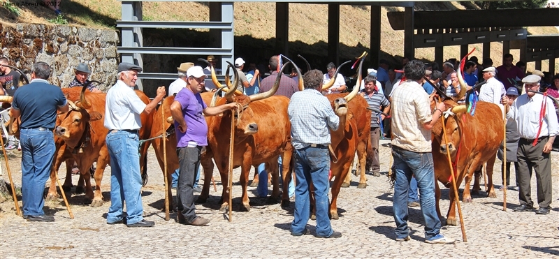 Montalegre - Feira do Prémio 2012