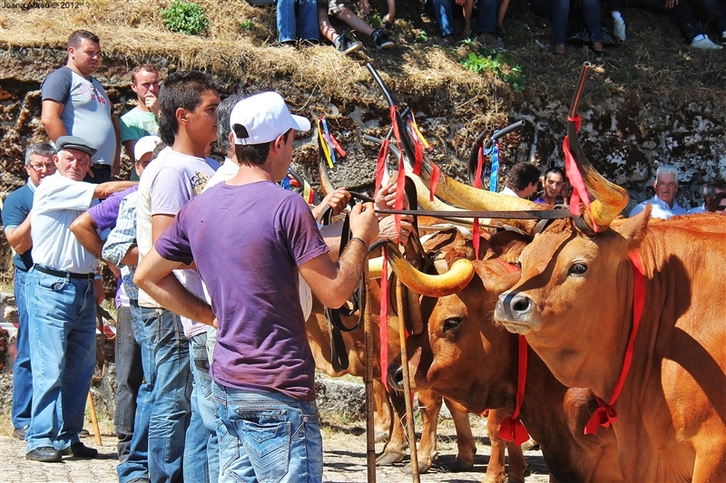 Montalegre - Feira do Prémio 2012