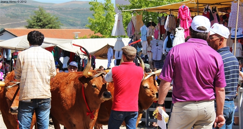 Montalegre - Feira do Prémio 2012