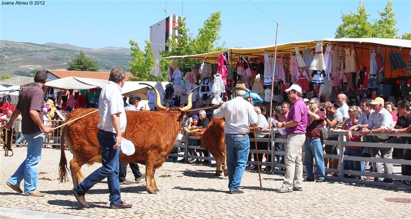 Montalegre - Feira do Prémio 2012