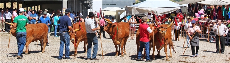 Montalegre - Feira do Prémio 2012