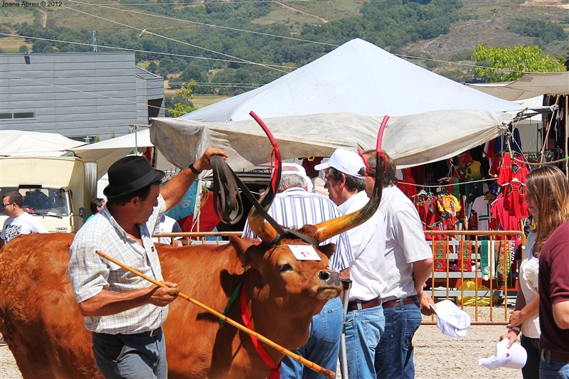 Montalegre - Feira do Prémio 2012