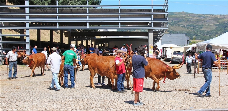 Montalegre - Feira do Prémio 2012