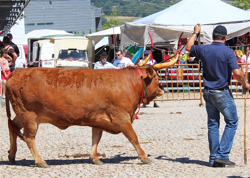 Montalegre - Feira do Prémio 2012