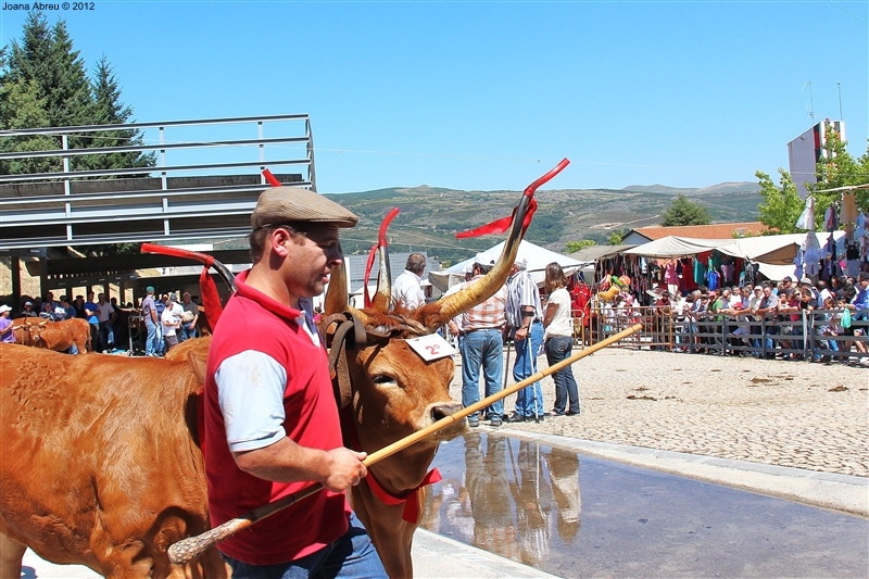 Montalegre - Feira do Prémio 2012