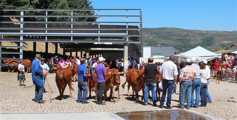 Montalegre - Feira do Prémio 2012