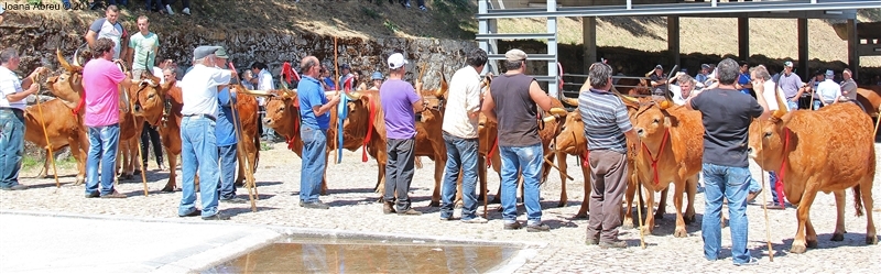 Montalegre - Feira do Prémio 2012