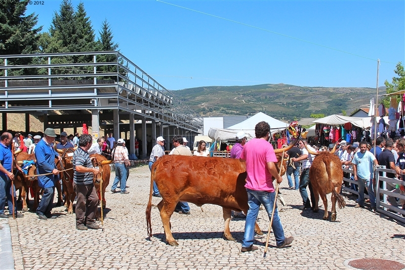 Montalegre - Feira do Prémio 2012