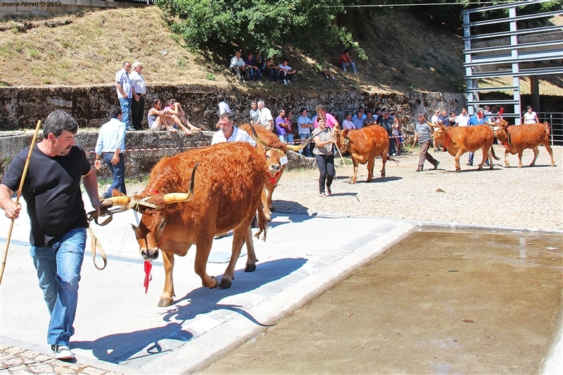 Montalegre - Feira do Prémio 2012