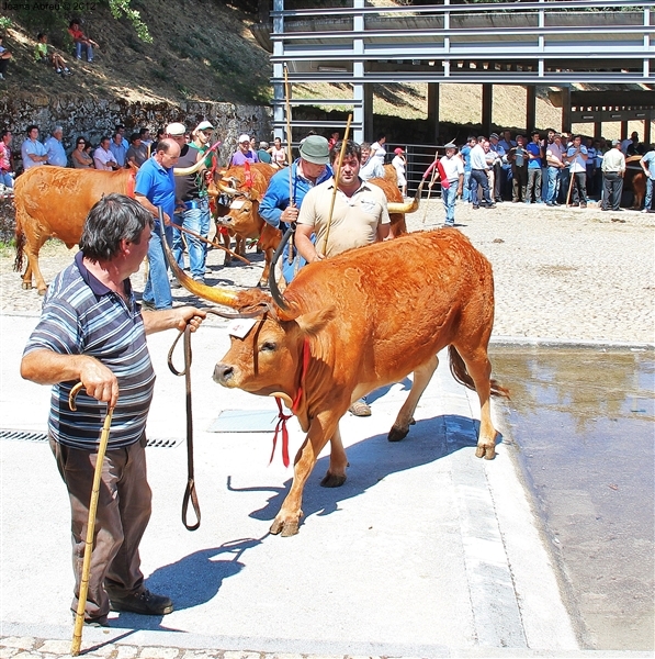 Montalegre - Feira do Prémio 2012