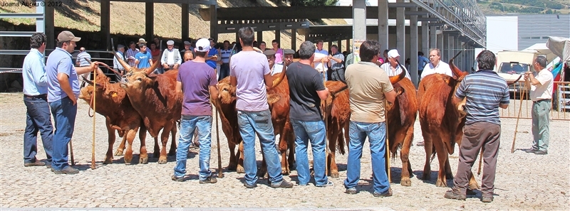 Montalegre - Feira do Prémio 2012
